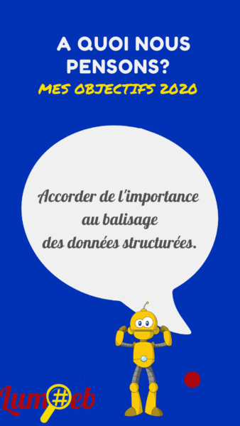 Le balisage des données structurées Lumoeb PAU