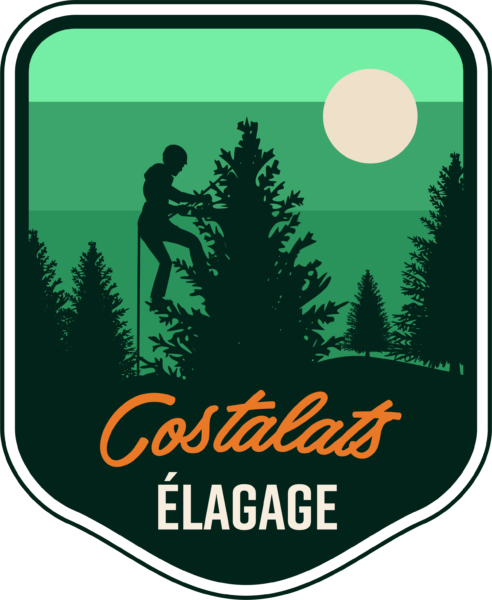 <strong>Logo Costalats Elagage</strong> <em>Nouveau Logo</em><br  /></p><p>Nouveau logo d&rsquo;entreprise  